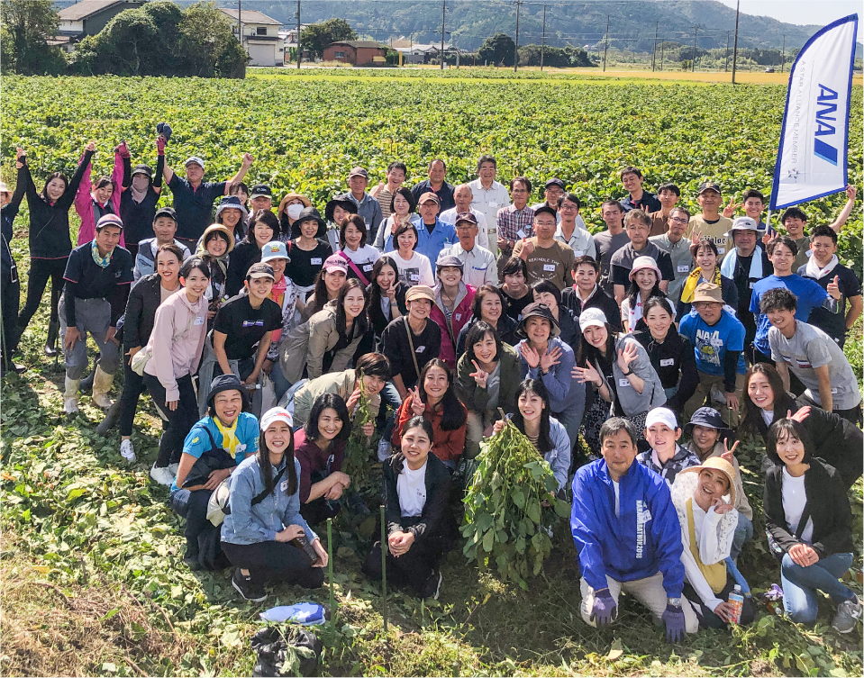 黒豆収穫ボランティア活動