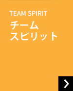 TEAM SPIRIT チーム スピリット